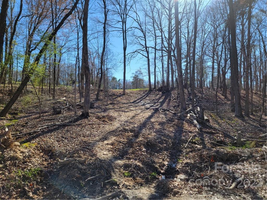 3 Acres Simpson Road Waxhaw, NC 28173 - Photo 1 of 12 Gallery Image 1