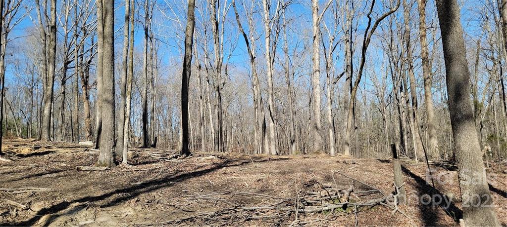 3 Acres Simpson Road Waxhaw, NC 28173 - Photo 3 of 12 Gallery Image 3