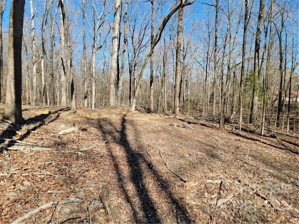 3 Acres Simpson Road Waxhaw, NC 28173 - Photo 5 of 12 Gallery Image 5