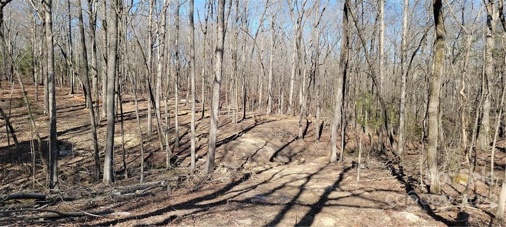 3 Acres Simpson Road Waxhaw, NC 28173 - Photo 7 of 12 Gallery Image 7