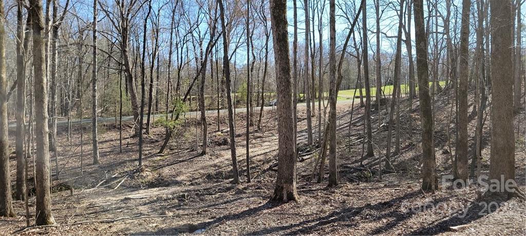 3 Acres Simpson Road Waxhaw, NC 28173 - Photo 8 of 12 Gallery Image 8