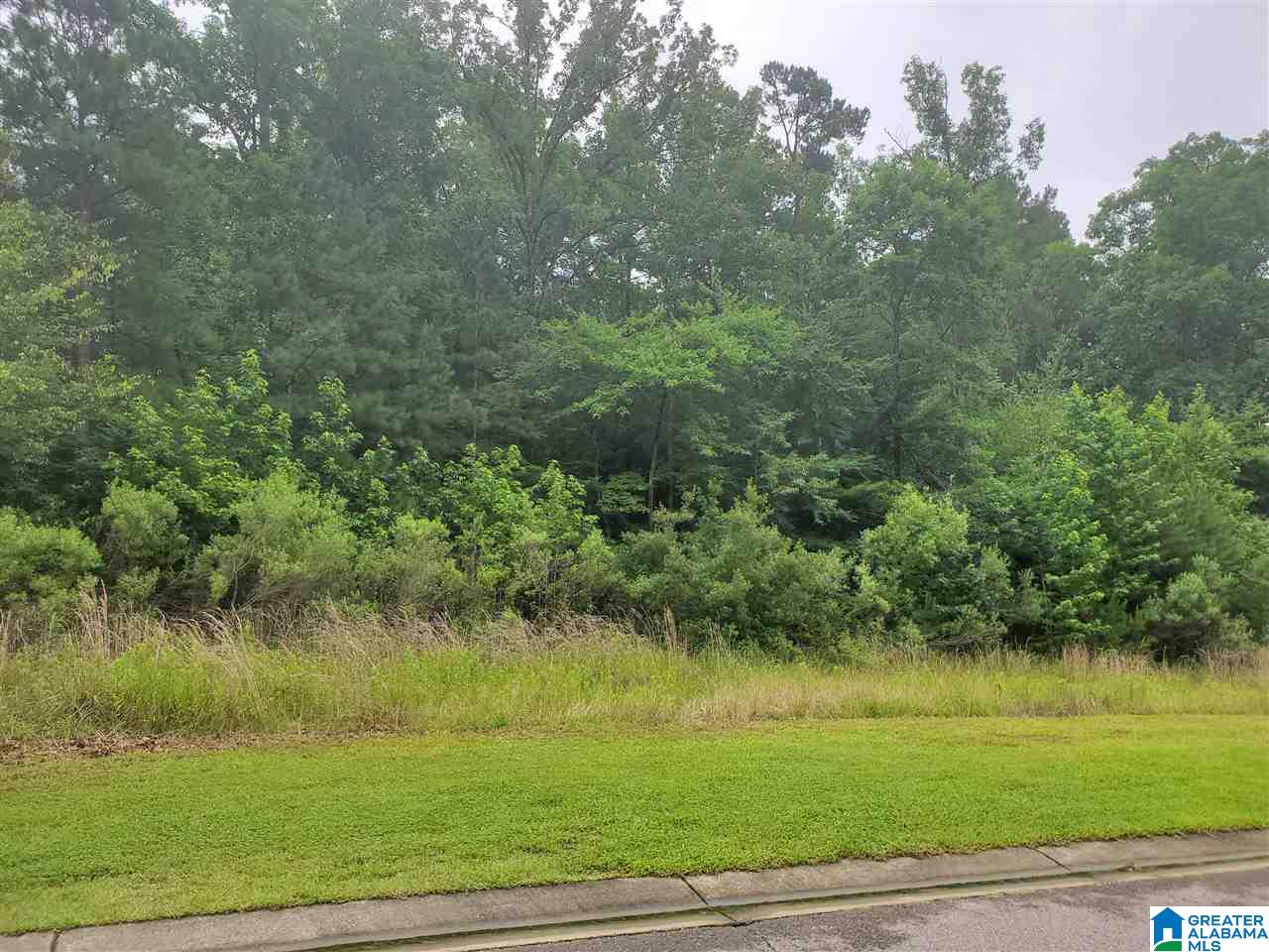 4385 Kings Mountain Ridge, Unit 733 Birmingham, AL 35242 - Photo 1 of 1