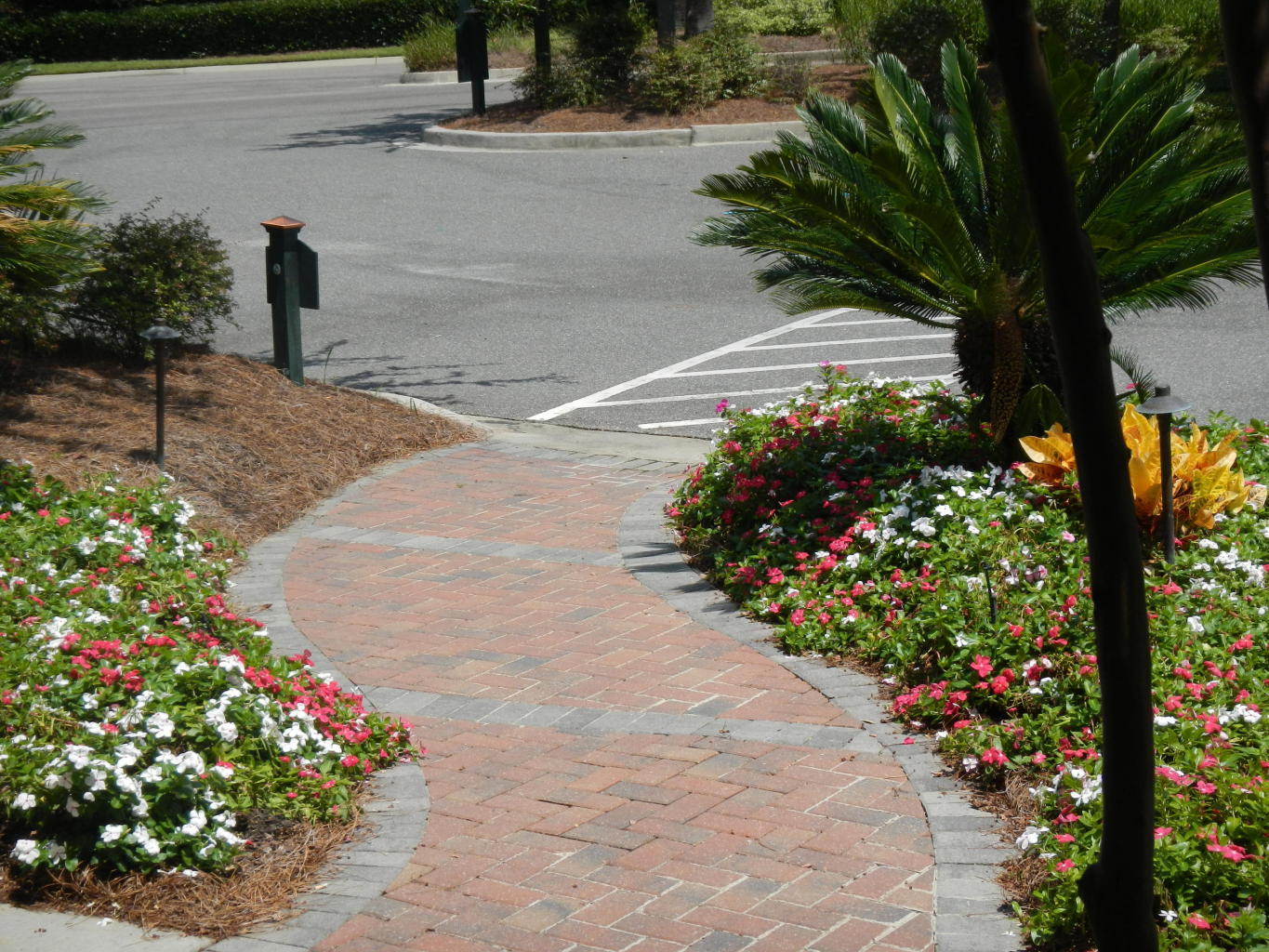 2007 Basildon Road Mount Pleasant, SC 29466 - Photo 23 of 31 image