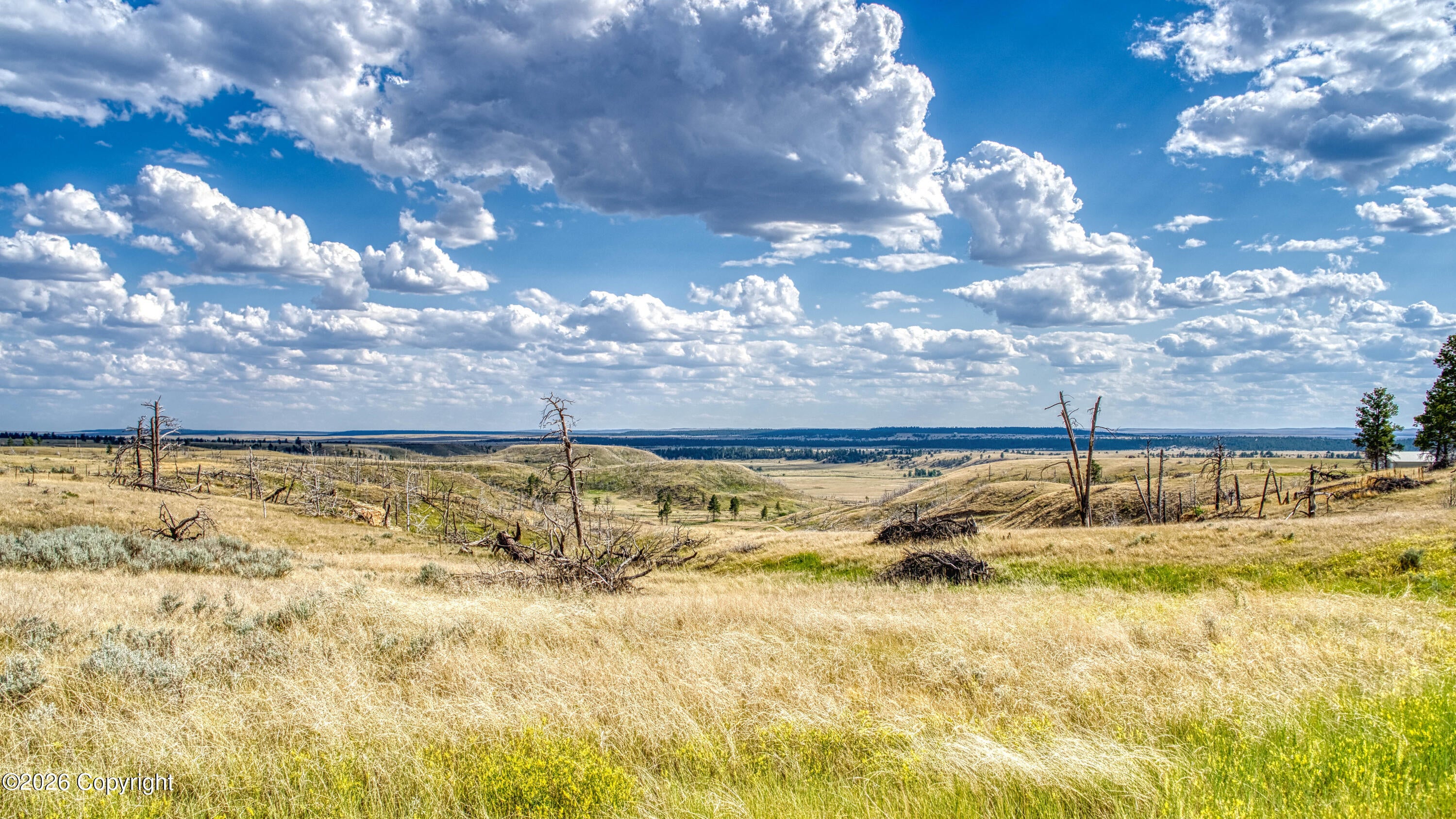 Tbd Gruenhagen Road Moorcroft, WY 82721 - Photo 14 of 18 Gallery Image 14