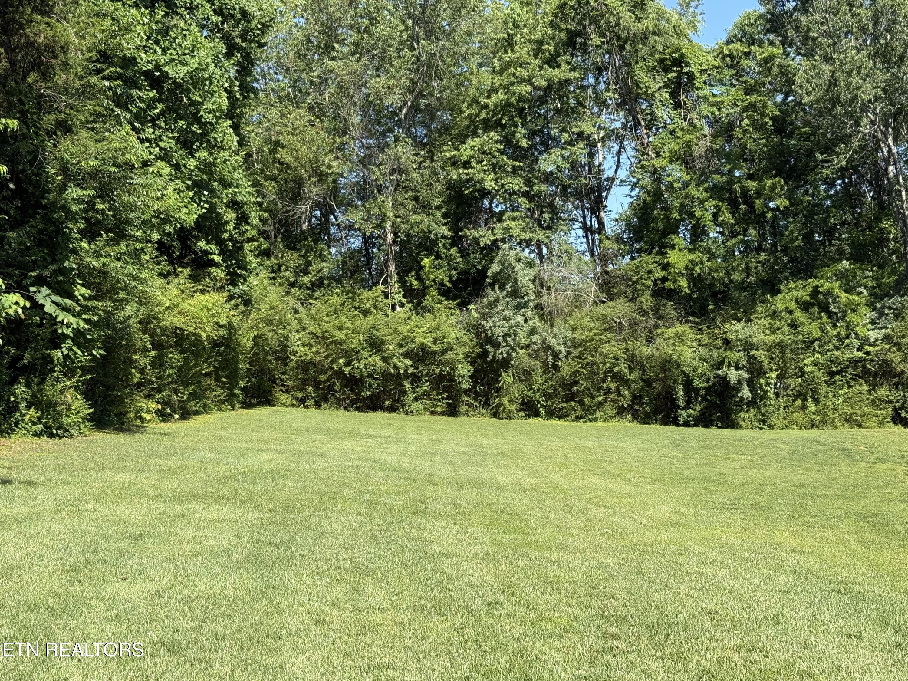 208 Mingo Way Loudon, TN 37774 - Photo 1 of 5 IMG_5227