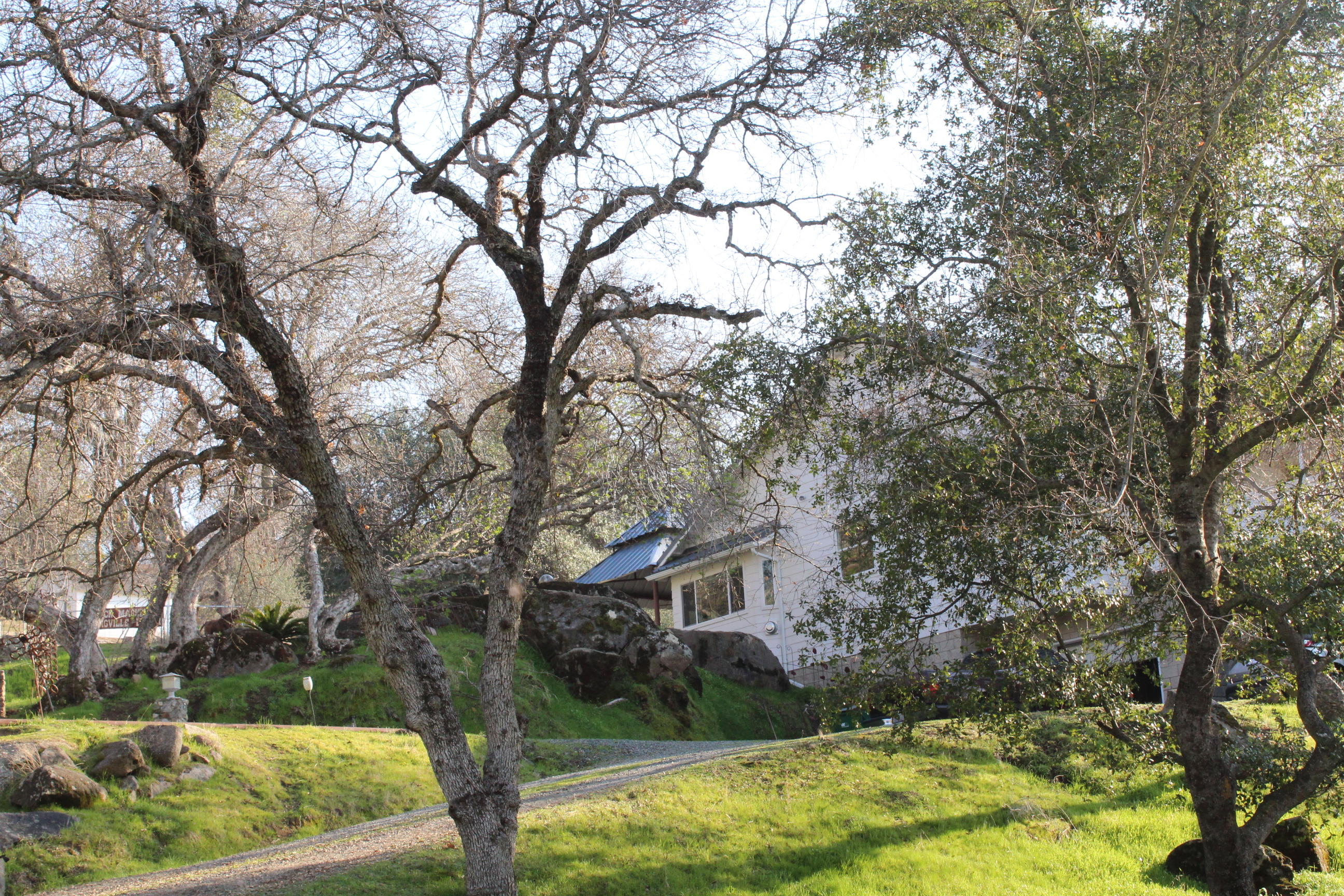 40401 Bear Creek Road Springville, CA 93265 - Photo 1 of 10 IMG_1946