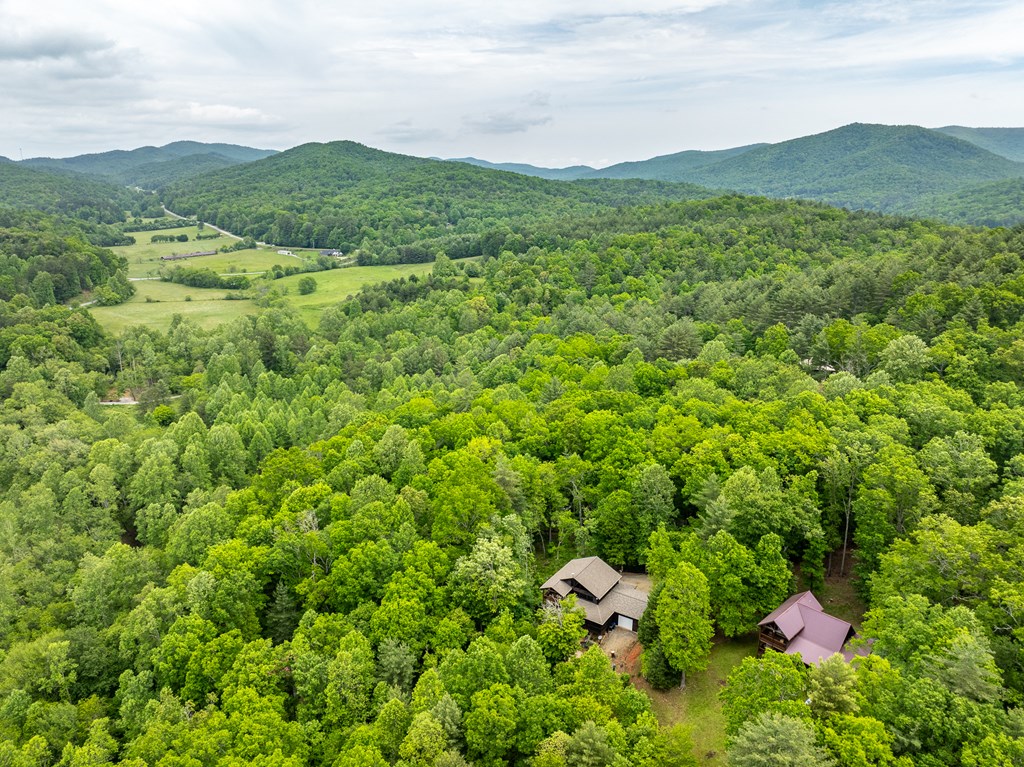 32 Grice Woods Road Blue Ridge, GA 30513 - Photo 61 of 65 Gallery Image 61