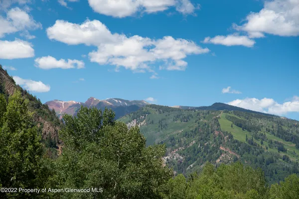 a view of a forest with a street