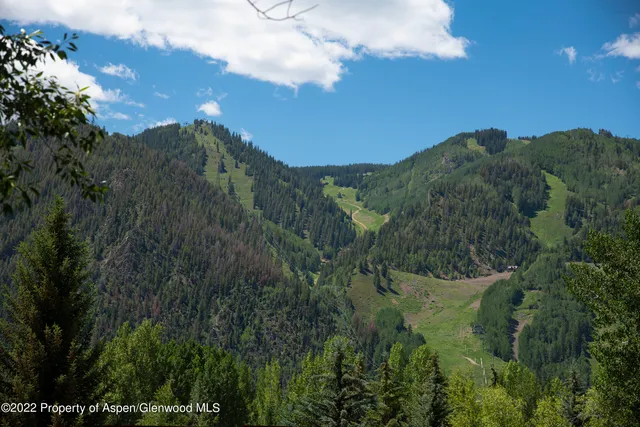 $6,500 | 335 Vine Street, Unit 335, Aspen, CO 81611