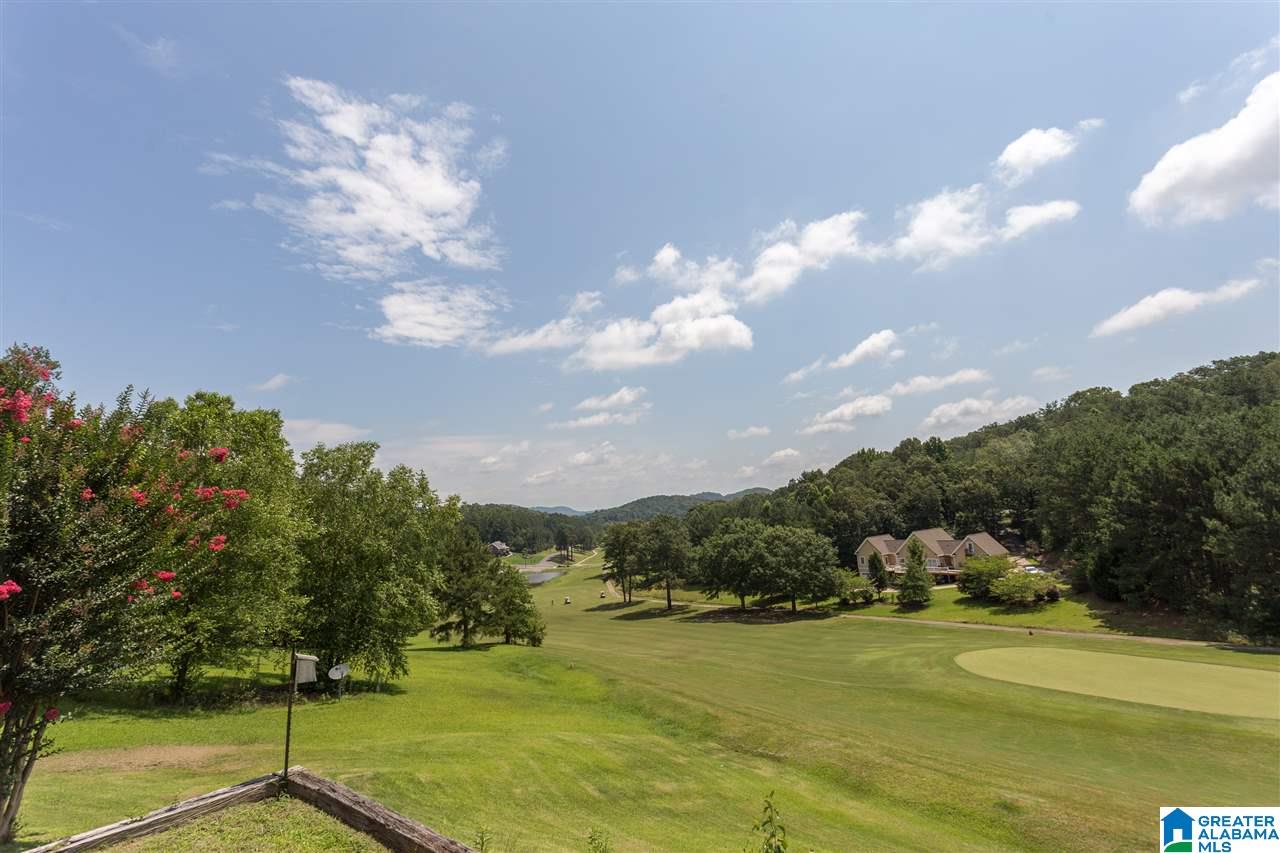 411 Quail Ridge Road Oneonta, AL 35121 - Photo 18 of 50