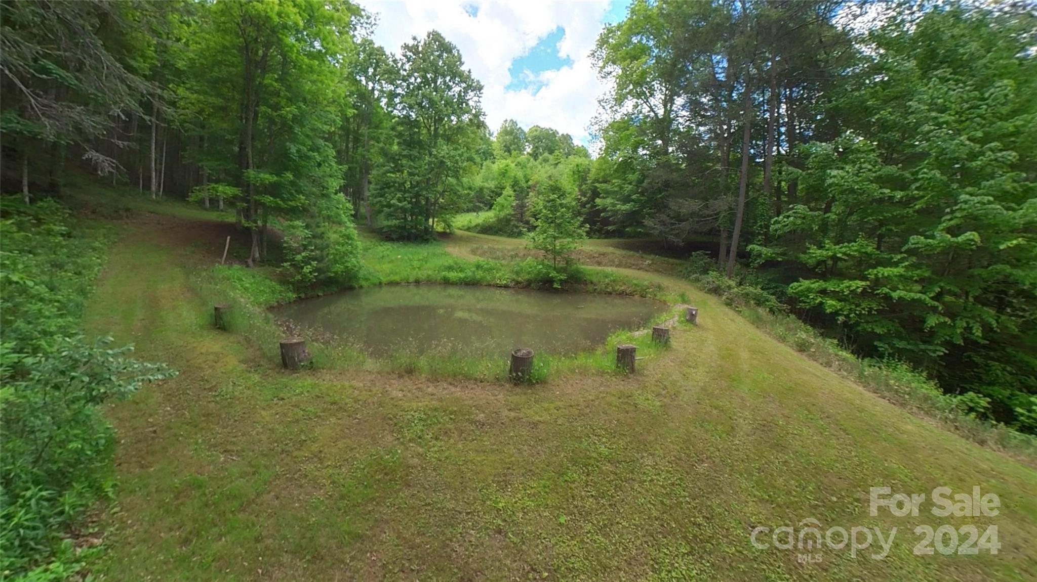 0 Sheets Farm Road Bakersville, NC 28705 - Photo 23 of 43 Gallery Image 23