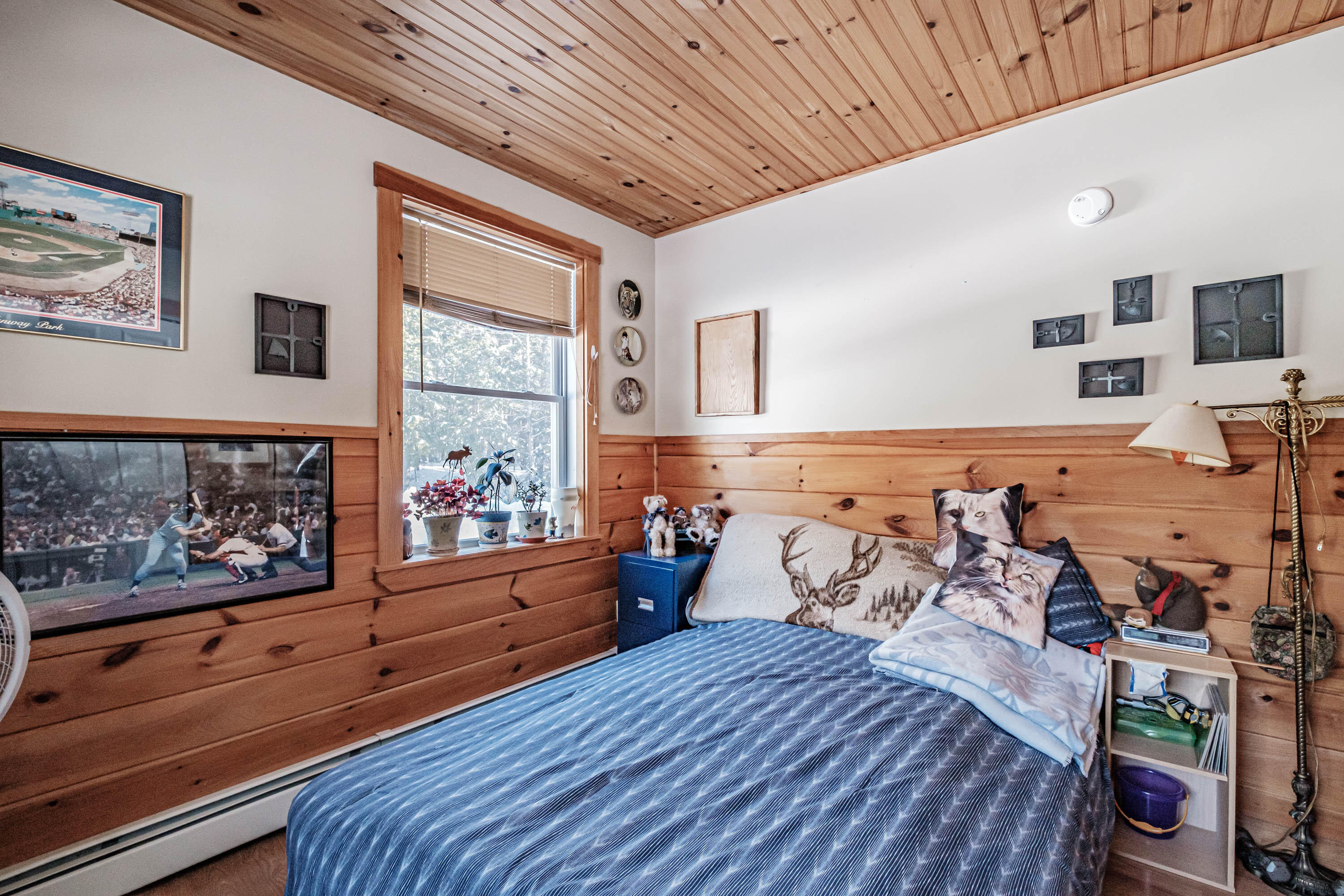 33 Ledge Road Sebago, ME 04029 - Photo 31 of 32 20230303gp-60031