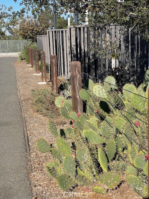 155 Fable Irvine, CA 92618 - Photo 38 of 41 a view of backyard with wooden fence and large trees