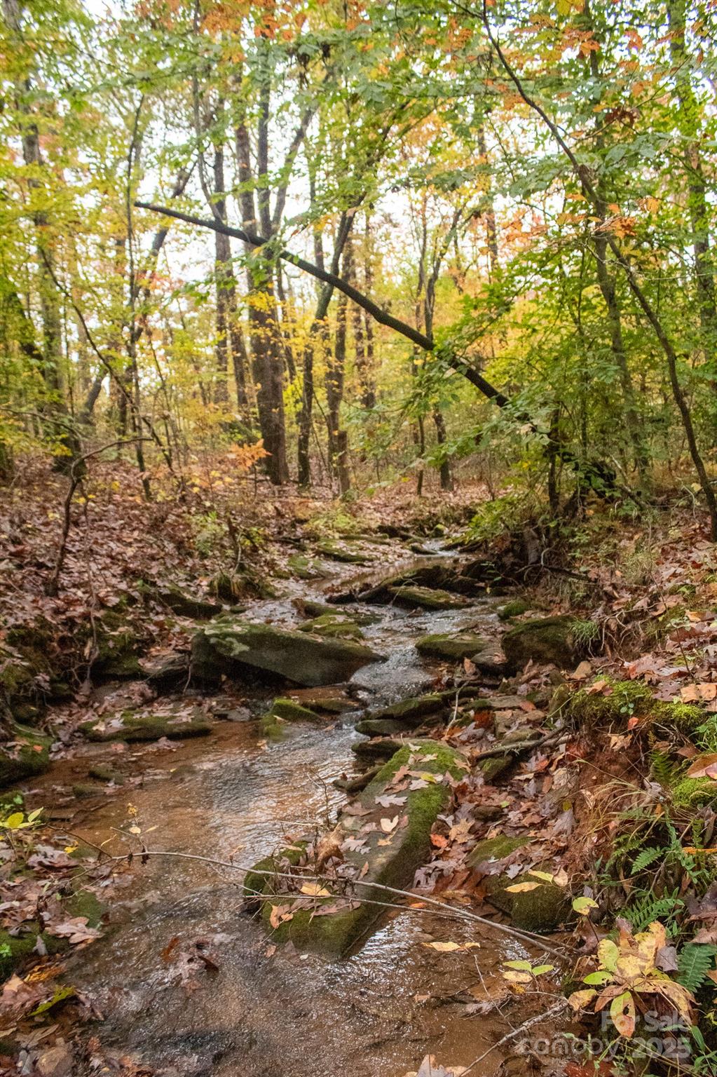 110 Rupard Road Statesville, NC 28625 - Photo 2 of 45