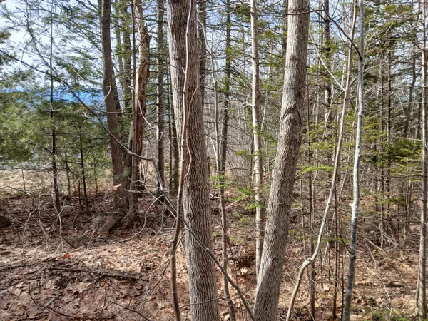 $45,000 | Lot 69-12 Hilltop Drive, Wiscasset, ME 04578