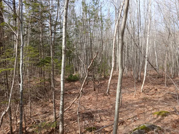 $45,000 | Lot 69-12 Hilltop Drive, Wiscasset, ME 04578