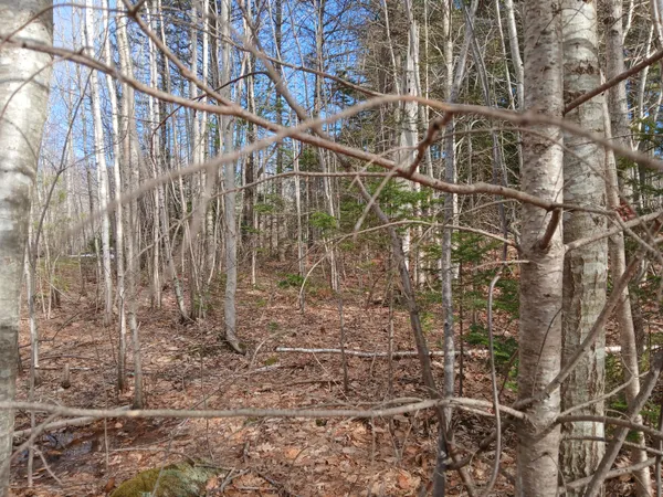 $45,000 | Lot 69-12 Hilltop Drive, Wiscasset, ME 04578