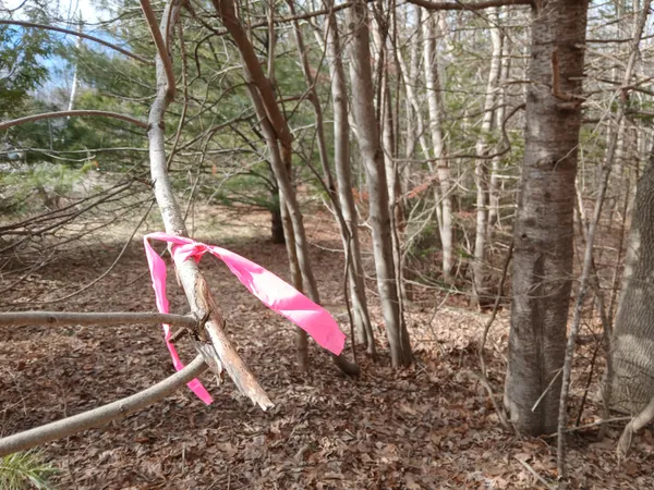 $45,000 | Lot 69-12 Hilltop Drive, Wiscasset, ME 04578