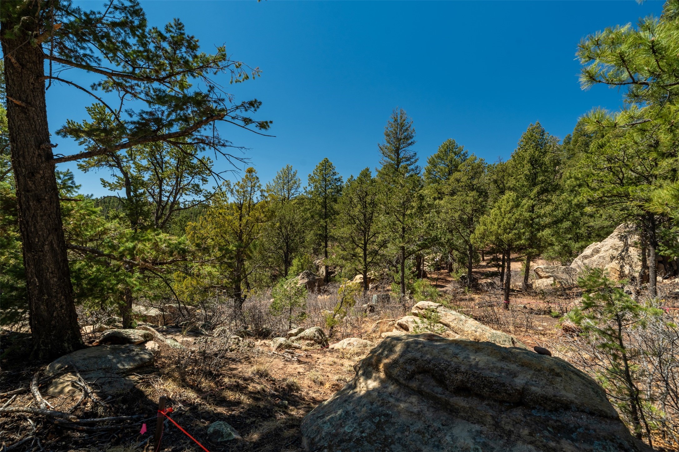 30 Monte La Cueva Road Glorieta, NM 87535 - Photo 55 of 91