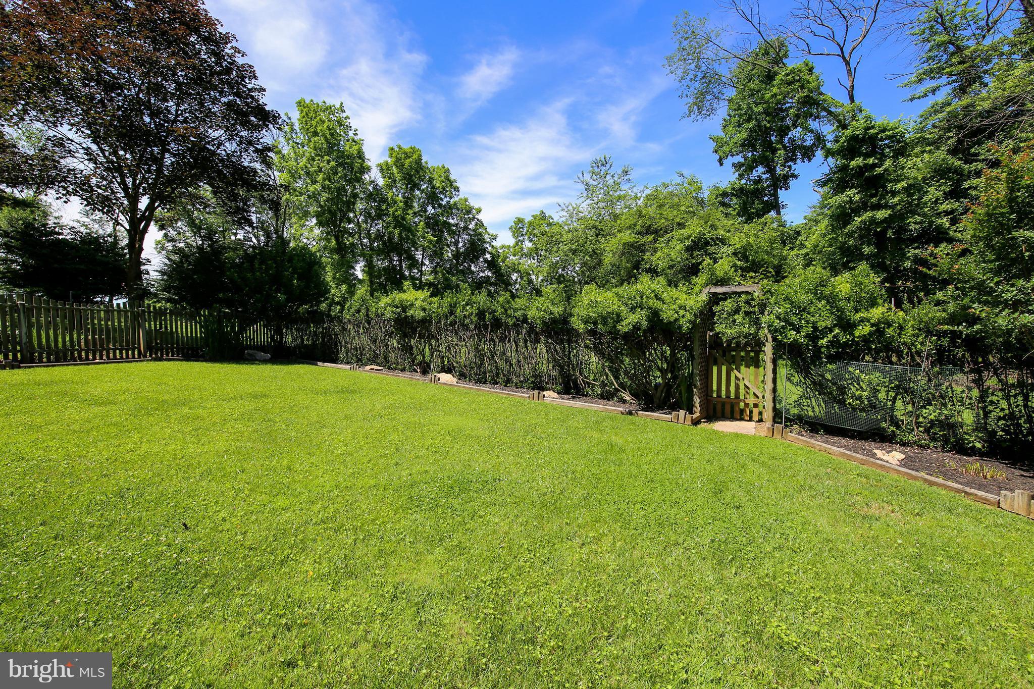 14532 Pebblestone Drive Silver Spring, MD 20905 - Photo 27 of 30 Large Backyard