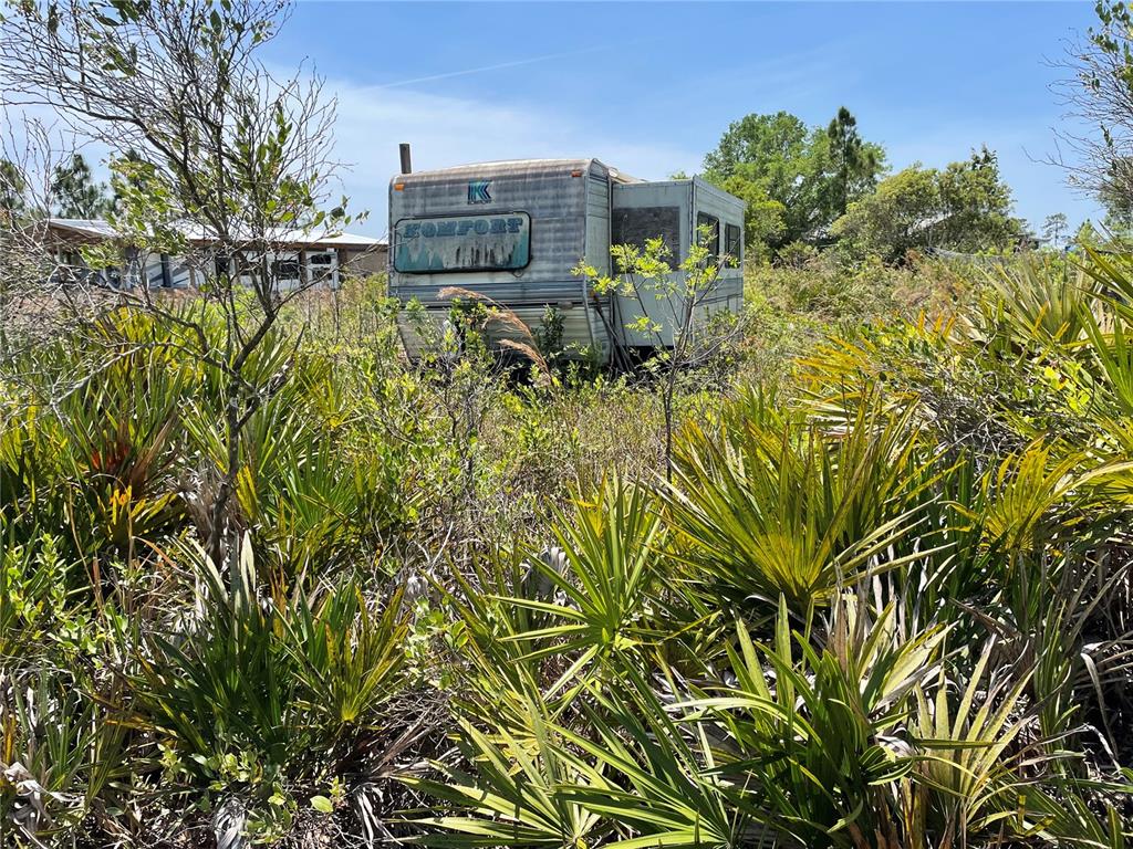 a view of a garden with plants