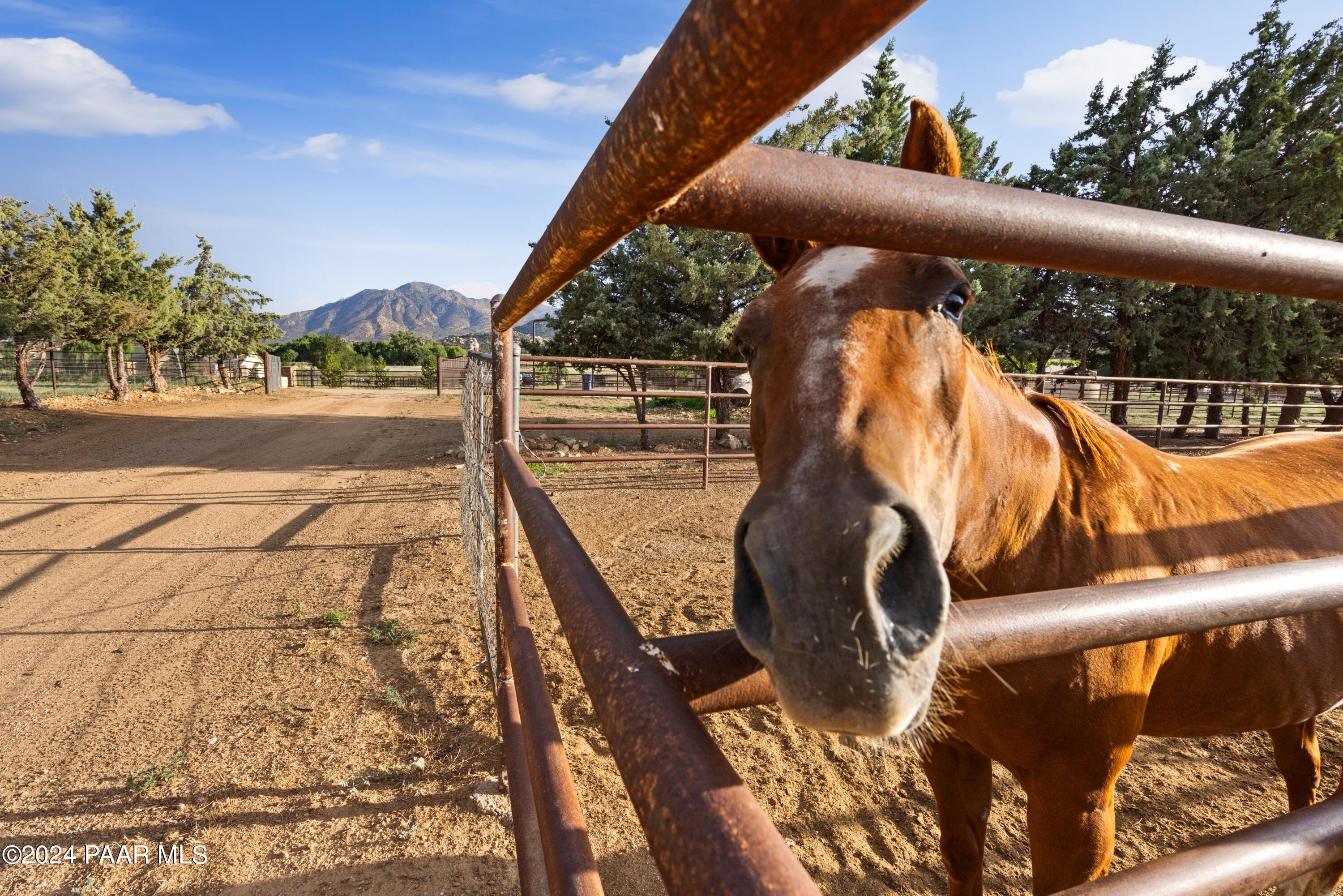 11211 North October Road Prescott, AZ 86305 - Photo 65 of 67 Howdy!