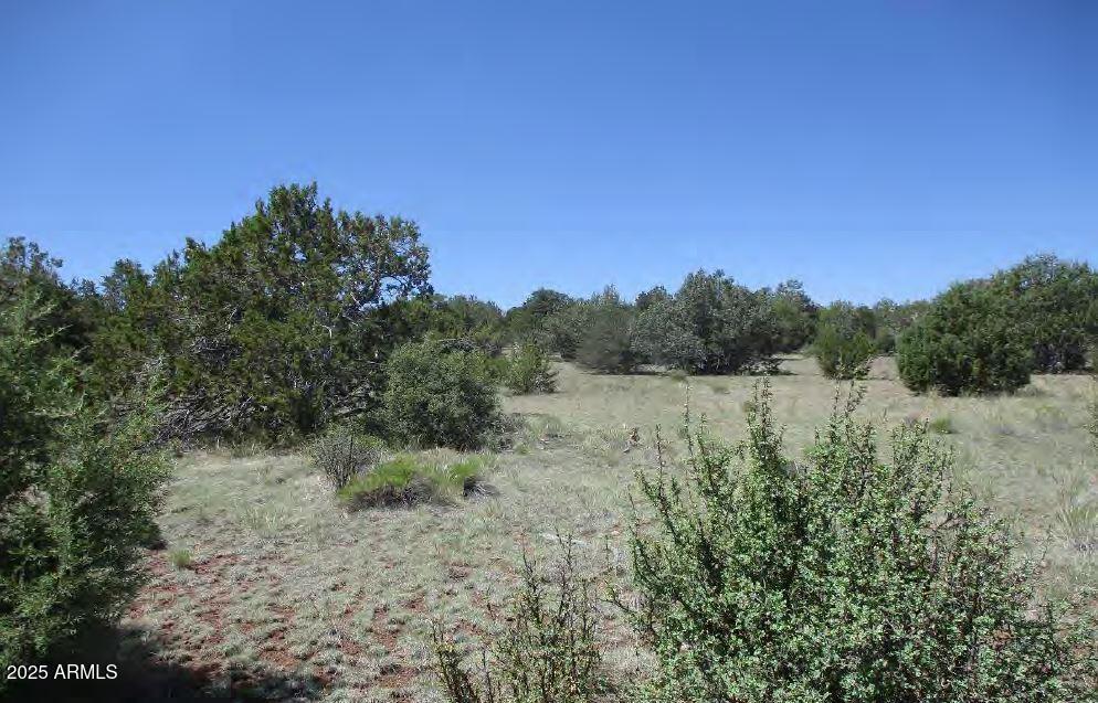 0 Espee Road Williams, AZ 86046 - Photo 11 of 14 a view of a forest with trees in the background