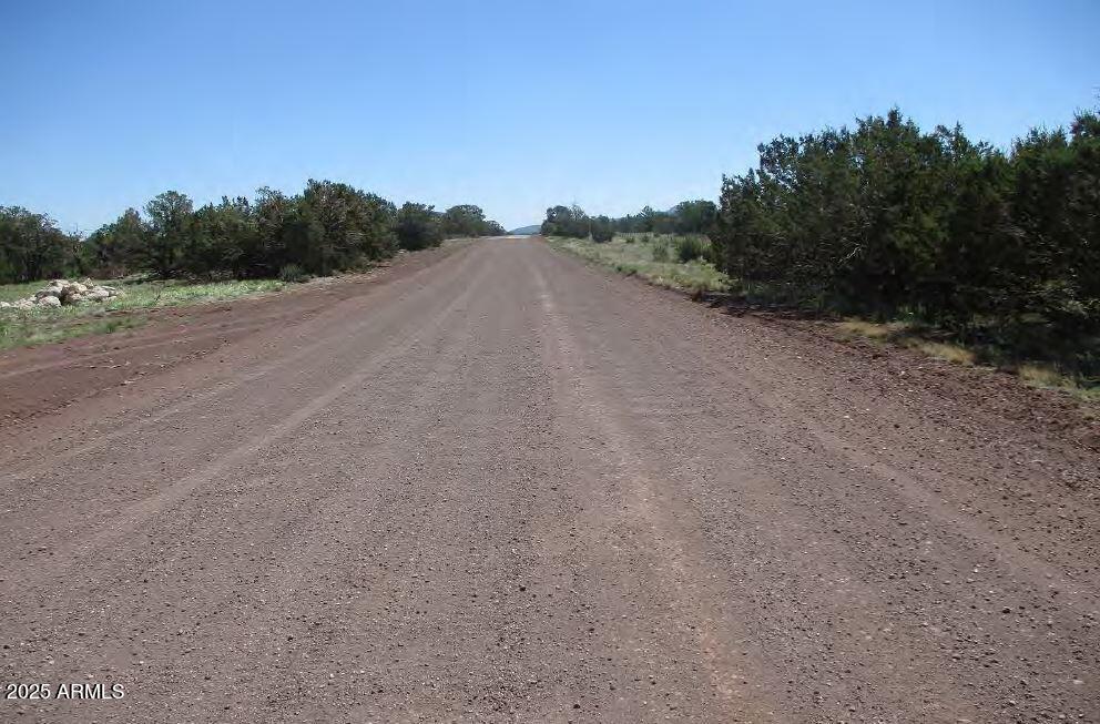 0 Espee Road Williams, AZ 86046 - Photo 10 of 14 a view of a field with trees in background