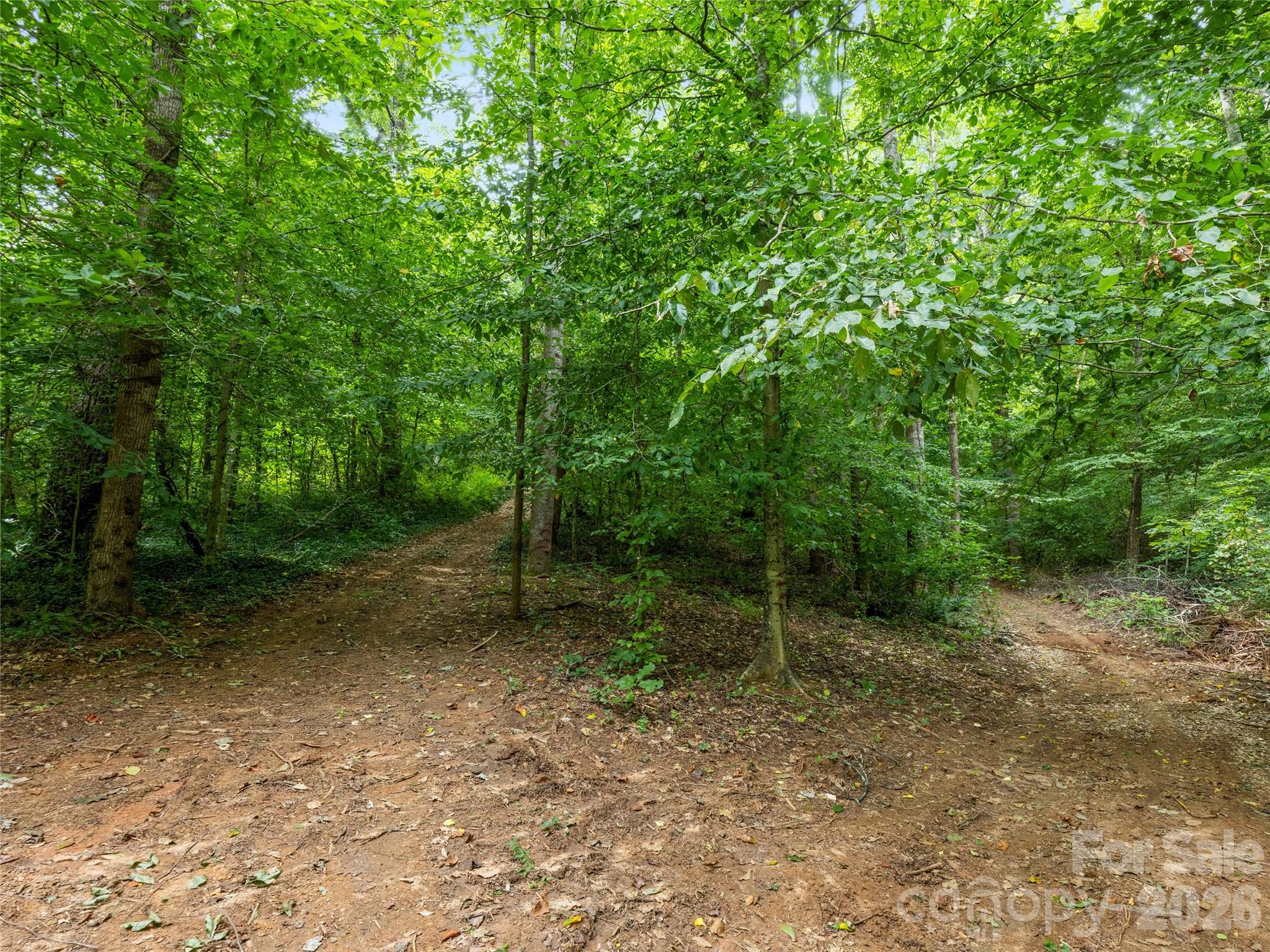 91 Rice Branch Road Asheville, NC 28804 - Photo 39 of 46 Gallery Image 39
