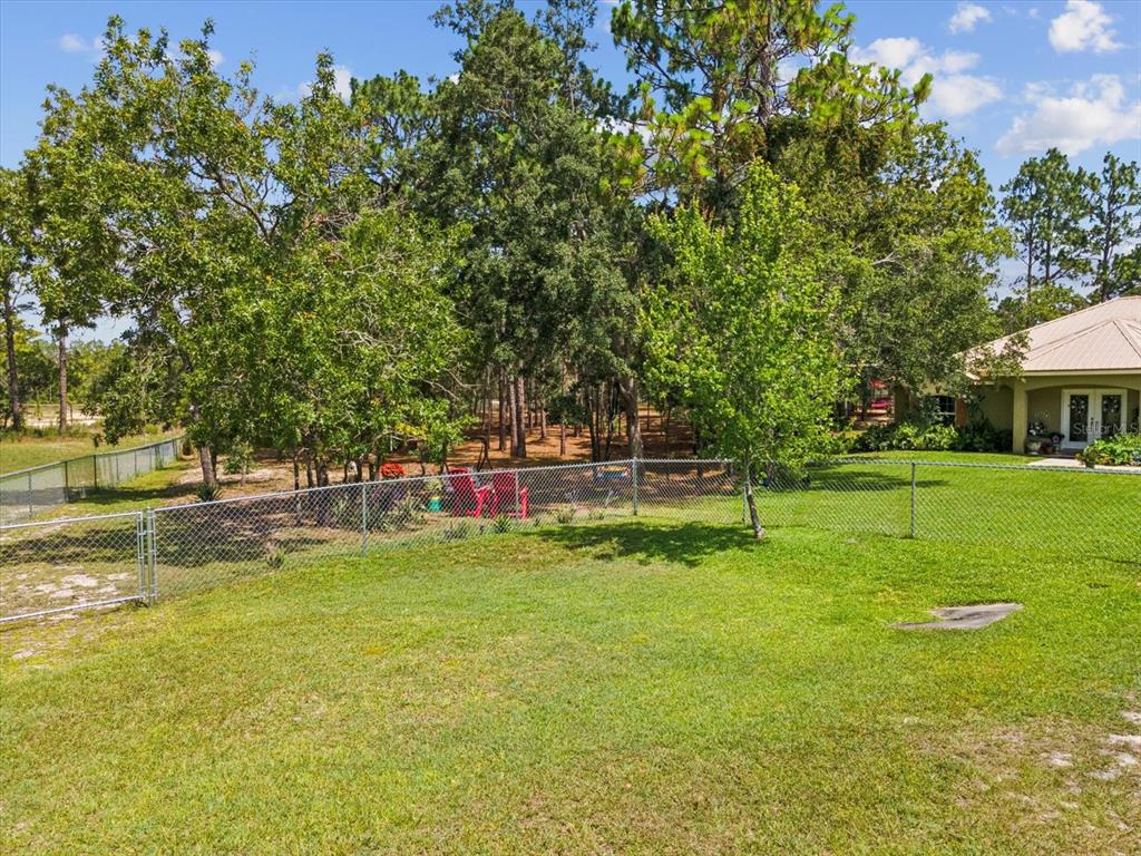 12229 Barnevelde Road Weeki Wachee, FL 34614 - Photo 53 of 63