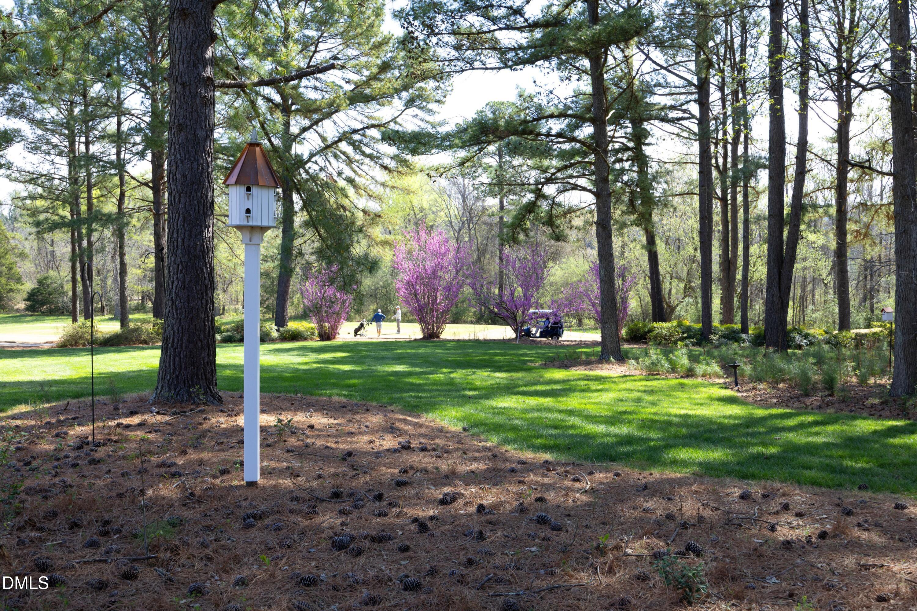 2908 Aquila Way Raleigh, NC 27614 - Photo 47 of 57 66Back