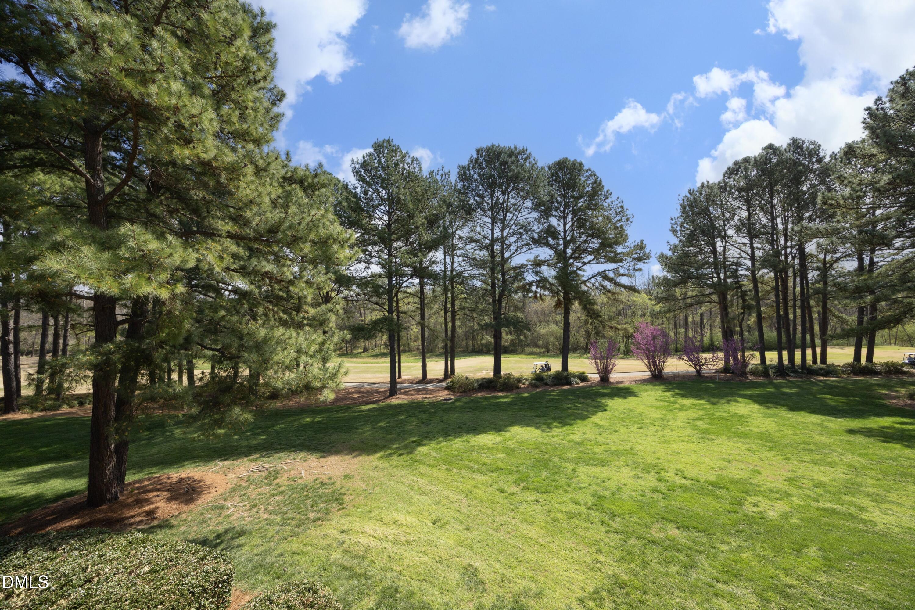 2908 Aquila Way Raleigh, NC 27614 - Photo 53 of 57 Rear Yard