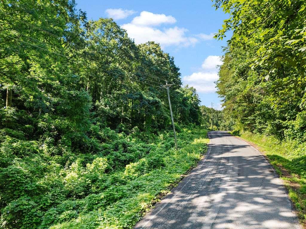 0 Shinbone Ridge Road LaFayette, GA 30728 - Photo 4 of 12