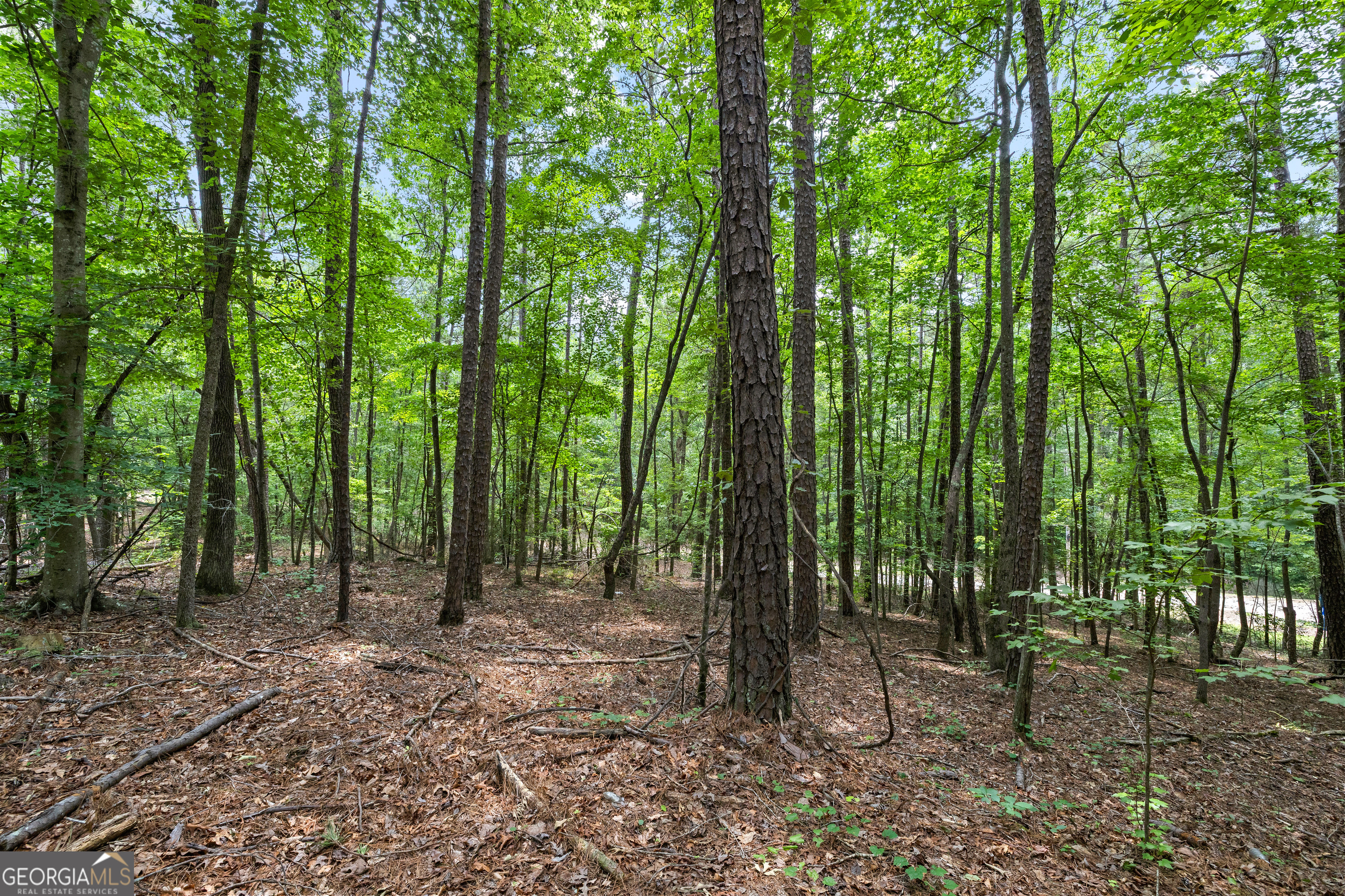 0 Terry Road Fairburn, GA 30213 - Photo 20 of 22
