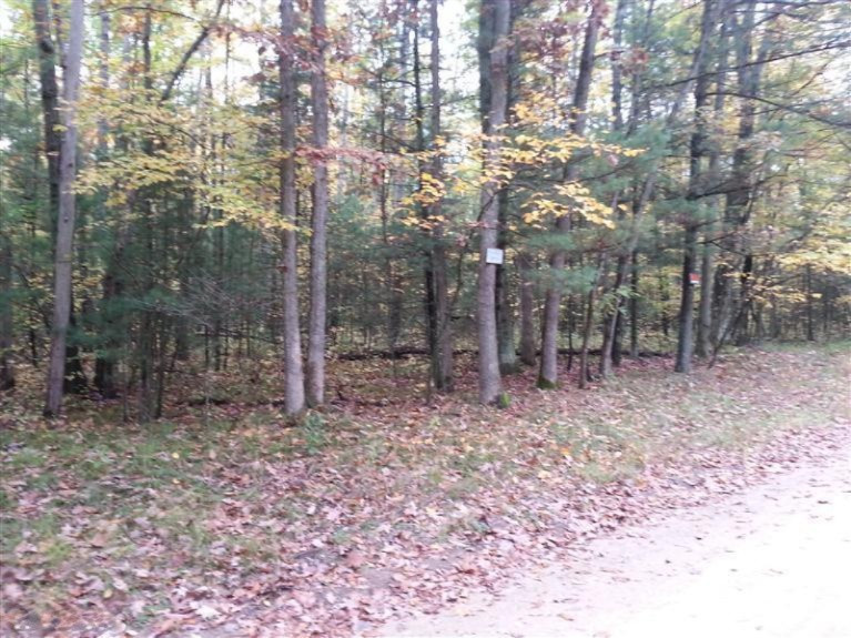 0 Pond Road, Unit PAR 3 Montague, MI 49437 - Photo 1 of 1 Primary Photo
