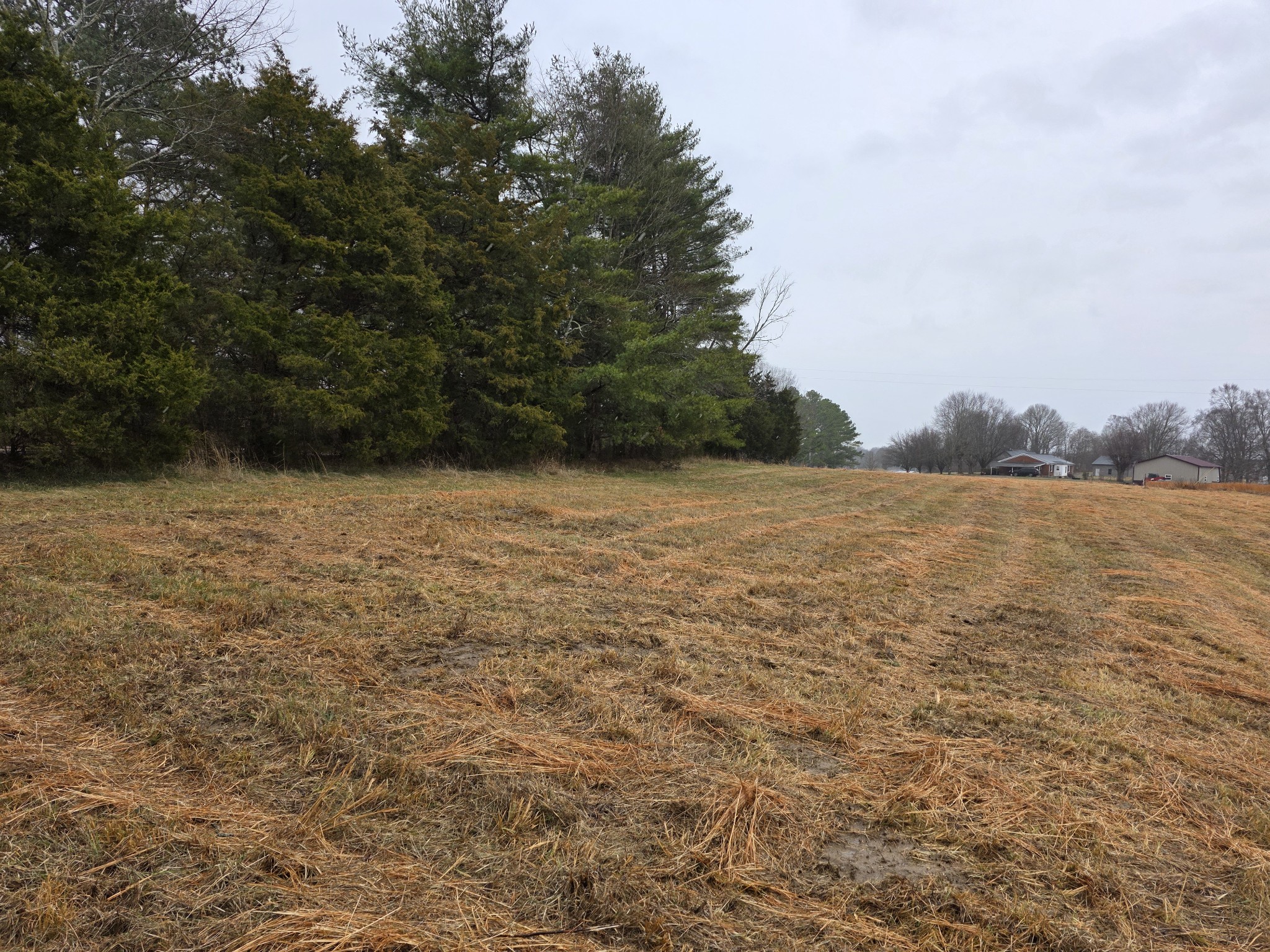 0 Scottsville Road Lafayette, TN 37083 - Photo 2 of 4