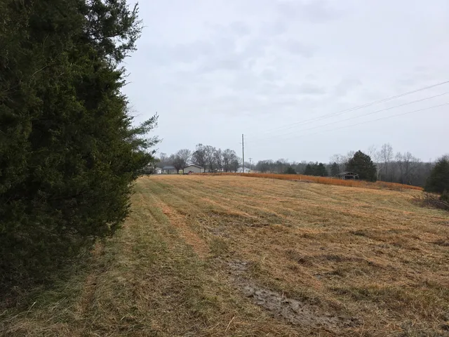 a view of an ocean with beach