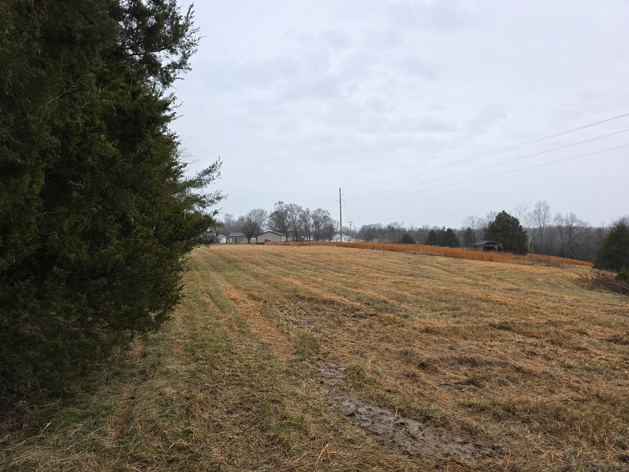 0 Scottsville Road Lafayette, TN 37083 - Photo 3 of 4