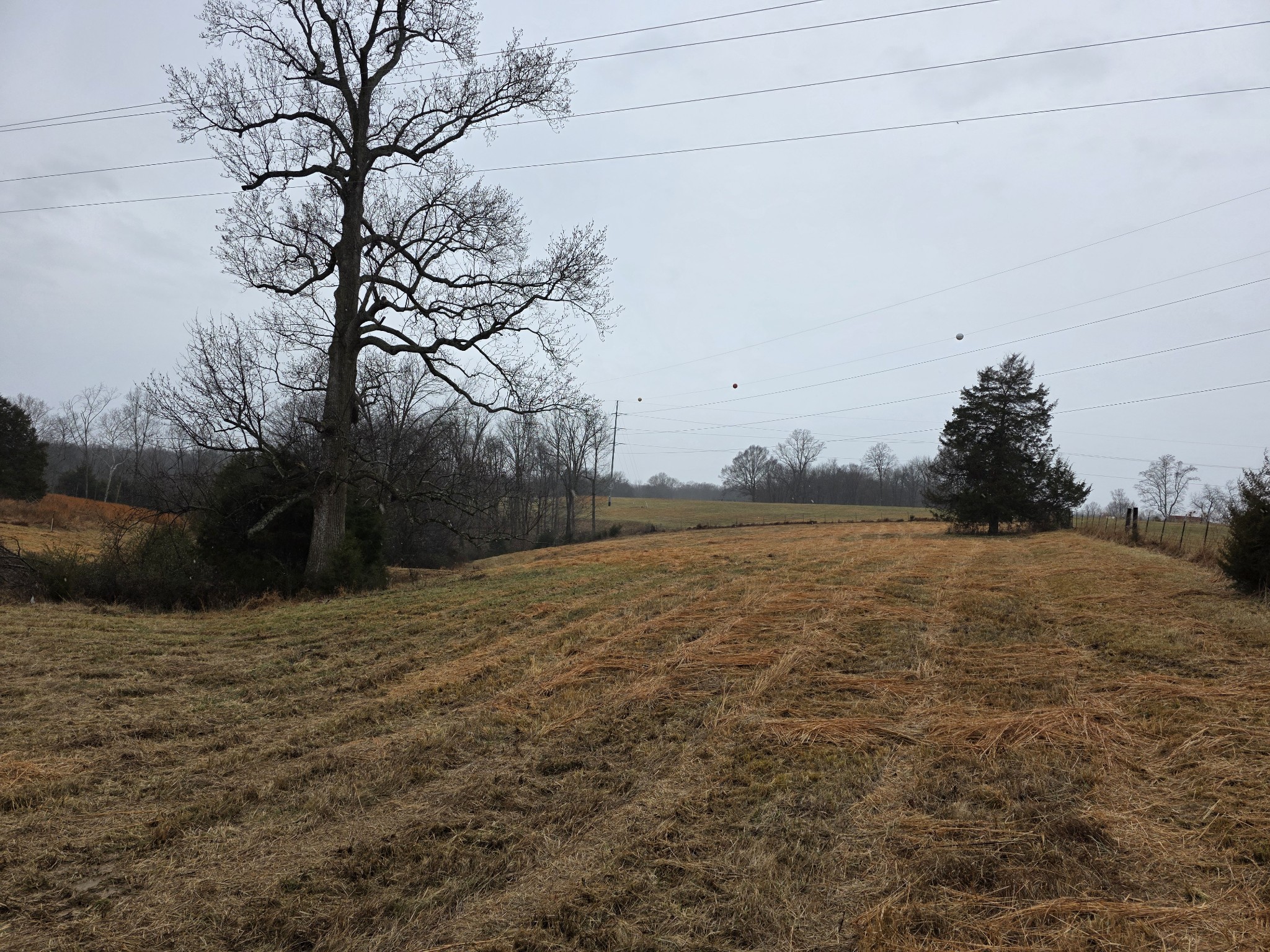 0 Scottsville Road Lafayette, TN 37083 - Photo 4 of 4