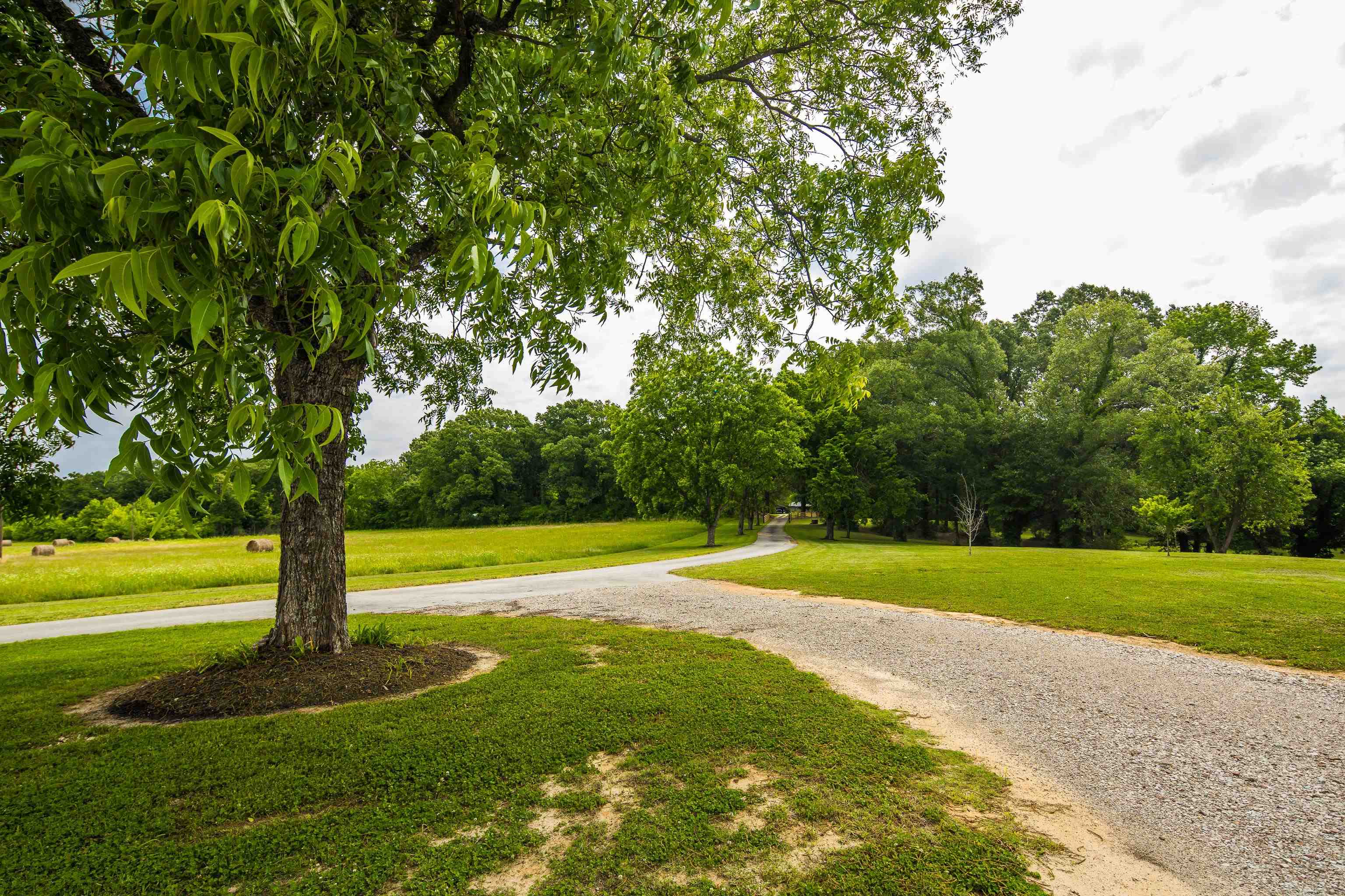 215 Springer Road Somerville, TN 38068 - Photo 8 of 40