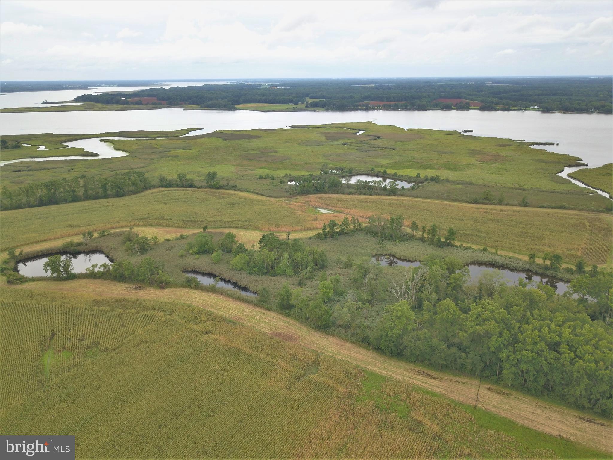 2806 Poplar Neck Road Preston, MD 21655 - Photo 29 of 30 Gallery Image 29