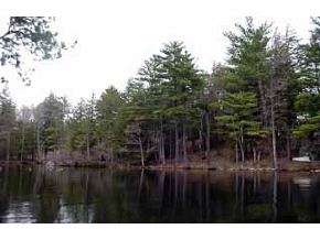 33 Brienne Road New Durham, NH 03855 - Photo 2 of 3