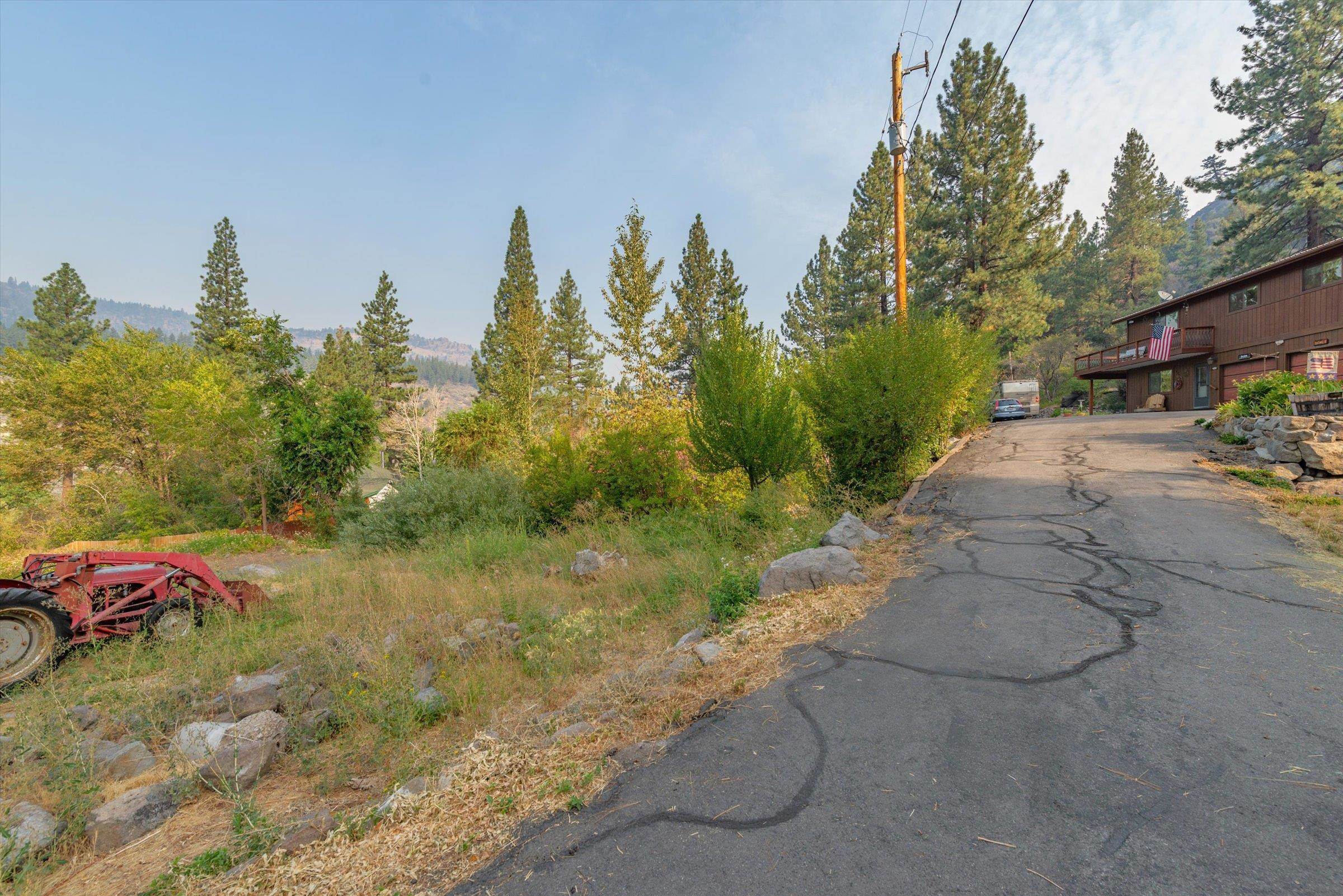 10341 Pine Way Floriston, CA 96111 - Photo 21 of 21 a view of a yard with palm tree