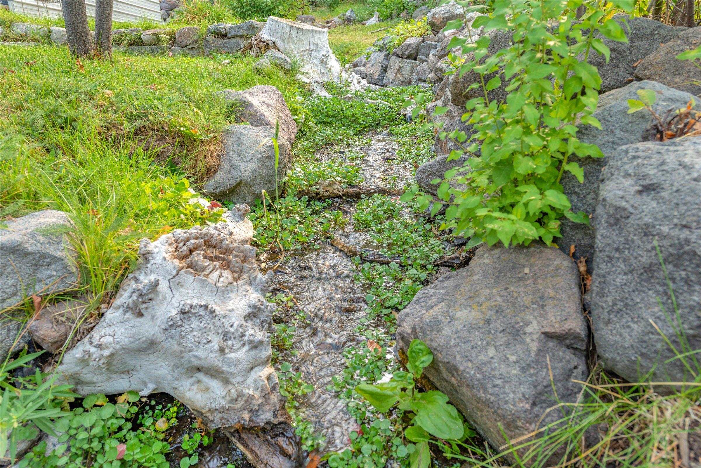 10341 Pine Way Floriston, CA 96111 - Photo 3 of 21 a backyard of a house with lots of green space