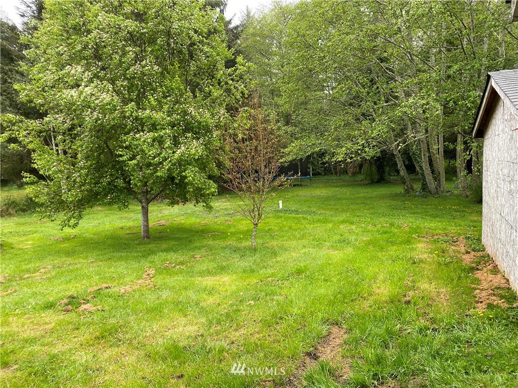 690 Copalis Beach Road Copalis Beach, WA 98535 - Photo 18 of 23 Gallery Image 18
