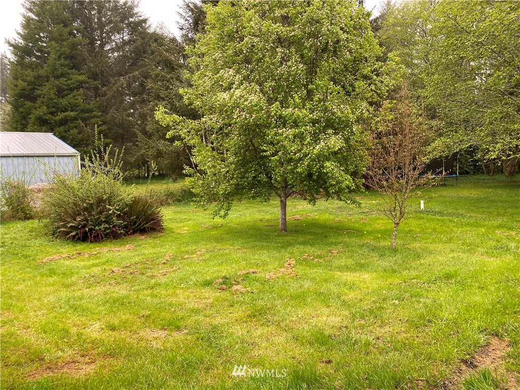 690 Copalis Beach Road Copalis Beach, WA 98535 - Photo 19 of 23 Gallery Image 19