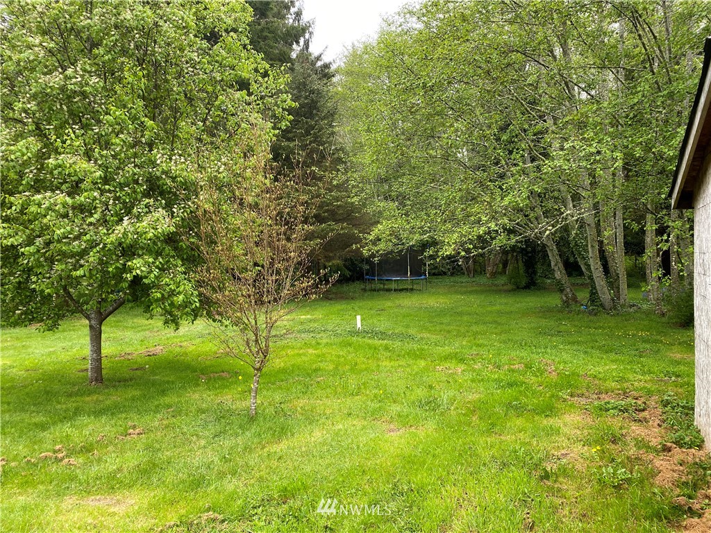 690 Copalis Beach Road Copalis Beach, WA 98535 - Photo 21 of 23 Gallery Image 21