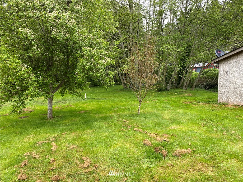 690 Copalis Beach Road Copalis Beach, WA 98535 - Photo 22 of 23 Gallery Image 22