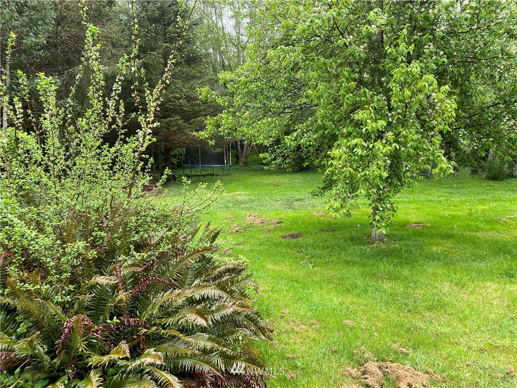 690 Copalis Beach Road Copalis Beach, WA 98535 - Photo 23 of 23 Gallery Image 23