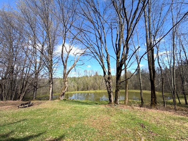 2856 Zimmer Road Scio, NY 14880 - Photo 7 of 50
